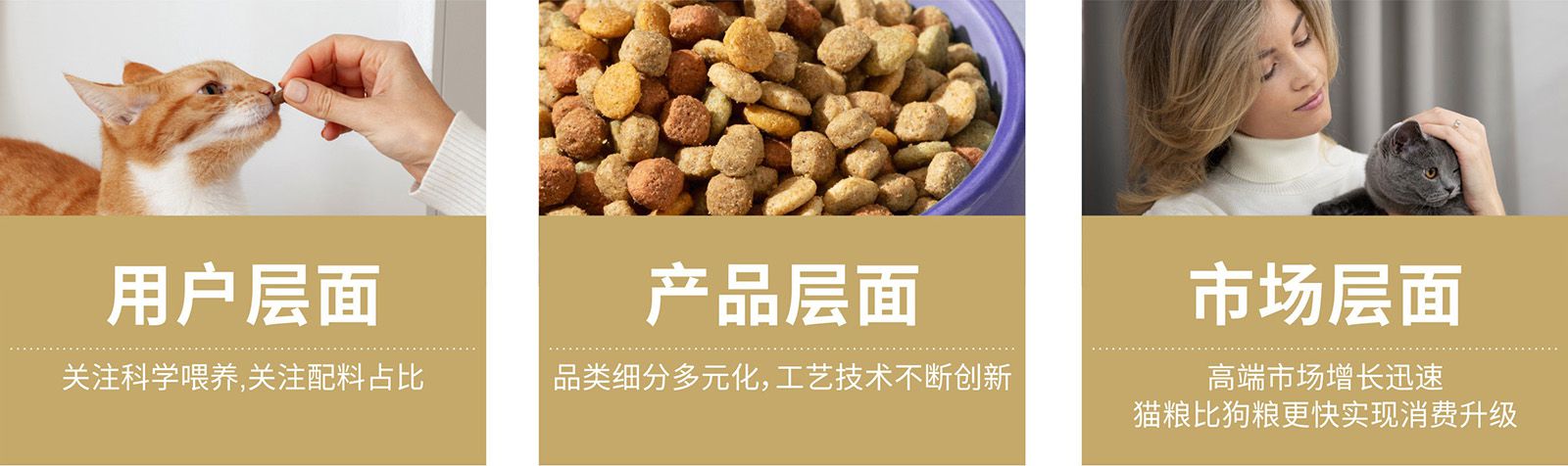 猫粮品牌策划